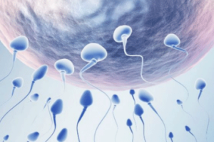 备孕必读:掌握四个关键时机,轻松提升自然受孕的成功率