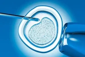 辅酶Q10和普善思(Pylexn):备孕女性该如何选择?