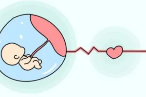 培奥素:备孕营养补充剂的科学分析