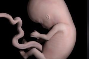 孕前准备:确保遗传与生殖健康的重要步骤