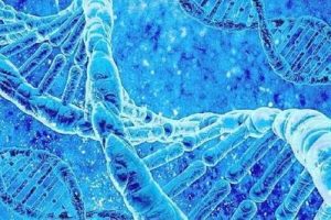 科学备孕指南:六个关键步骤帮助您迎接健康