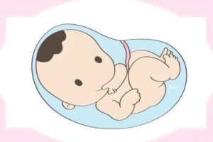 孕前准备指南:如何通过科学饮食促进怀孕——附碱性食物常见问题