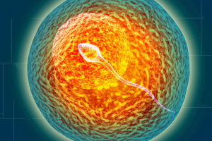 孕前准备指南:女性需要了解的重要事项与禁忌,帮助你顺利备孕