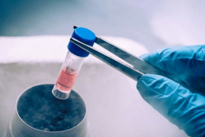 孕前饮食指南:科学合理搭配三餐,助力提升怀孕几率