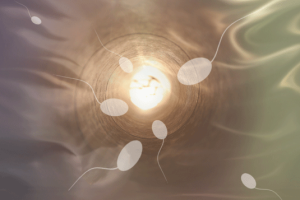 孕期科学饮食指南:从日常三餐到营养搭配的全面指导