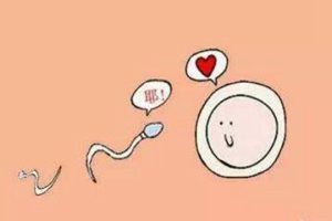 备孕指南:不明原因不孕的女性如何科学提高怀孕几率?