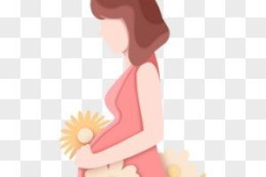 备孕希望生男孩?以下是一些科学视角供您参考(并附有重要提醒)