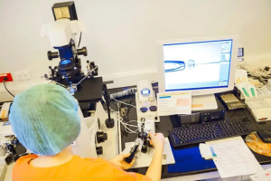 男性在备孕时的关键注意事项及科学饮食建议