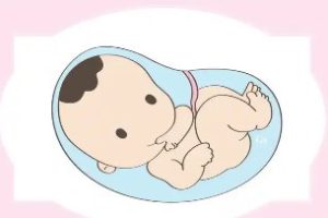 男性备孕全面指南:术语、费用、注意事项