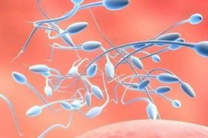 男性孕前检查全面指南:这些项目真的必要吗?