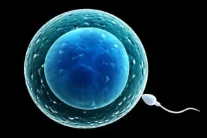 试管婴儿过程中佩安苏的辅助作用及服用建议