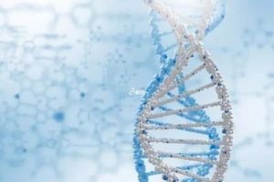 试管婴儿微刺激方案:一种“小而美”的排卵诱导选择,适合你吗?