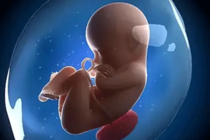 什么是试管婴儿中的微刺激方案?适合哪些人群使用?