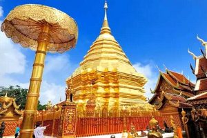 试管婴儿方案详解:周期时长、差异、费用和成功率的全面分析