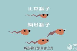 试管婴儿全过程指南:全面了解步骤、周期及注意事项