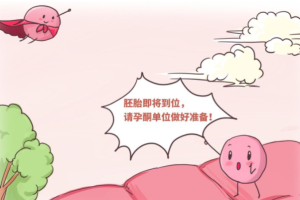 试管婴儿促排卵方案:如何为不同人群进行选择?