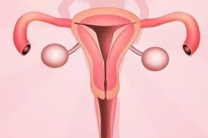 试管婴儿短方案与长方案:它们的区别、影响以及成本分析