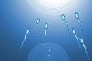 试管婴儿的整个方案解析:定义、流程步骤及适合人群