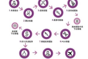 试管婴儿的治疗方案:适合人群及其优缺点分析