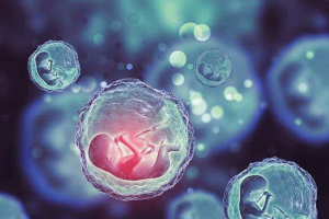 试管婴儿长期方案:流程、取卵时间及其优势解析