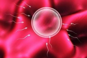 为什么试管婴儿治疗中需要进行降调?成功降调的标准是什么?