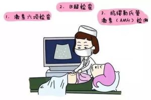 试管婴儿取卵:详解持续取卵、自然周期及相关注意事项