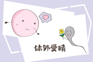 微刺激试管婴儿方案:原理、费用及适合人群全面解析