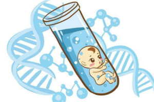 试管婴儿自然周期方案:无药物、低干预的“顺其自然”选择