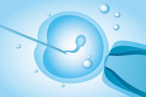 试管婴儿超短方案:核心区别一目了然