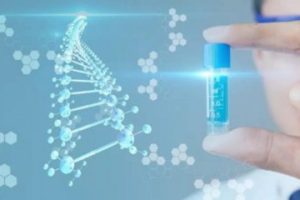 试管婴儿短方案适合的群体及其优缺点分析