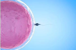 超短试管婴儿方案:流程、优点及适合人群分析