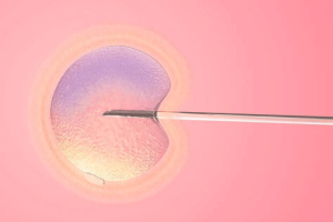 失独家庭试管婴儿政策梳理