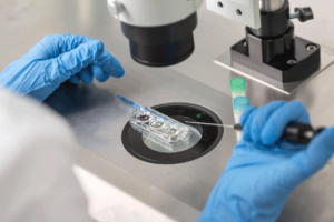 试管婴儿技术:32岁女性的成功率分析及首次失败原因的深入探讨