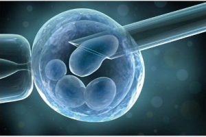 43岁进行试管婴儿是否能够成功?成功率大概是多少?