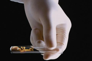 50岁女性进行试管婴儿:成功率分析与全面准备指南