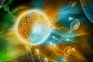 高龄女性进行试管婴儿:选择合适的技术至关重要!揭秘55岁成功