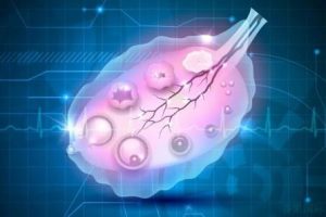 试管婴儿:成功率及其影响因素全面解析