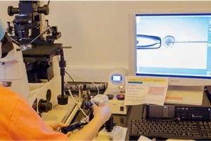 试管婴儿中卵子数量不足的原因、应对措施以及关于夜针的问题详解