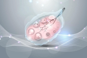 试管婴儿与子宫内膜:这些重要问题你必须了解