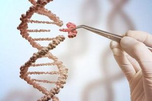 试管婴儿取卵后,这7件事情必须牢记!