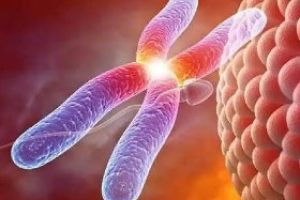 高龄女性进行试管婴儿时:如何挑选医院?哪种技术最适合您?