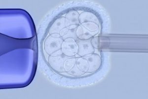 试管婴儿的饮食指南分为三个关键阶段