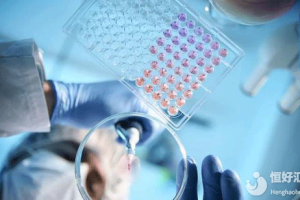 高龄女性进行试管婴儿的成功率:关键因素与实用提升建议