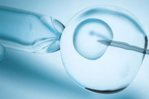 第一代试管婴儿的成功率从10%提高到50%,医学的进步如何为