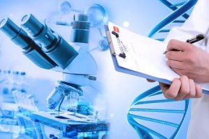 绝经后还能进行试管婴儿吗?一文带您了解其可行性及关键注意事项