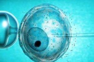 绝经后做试管婴儿是否能够成功?如何提升成功几率?