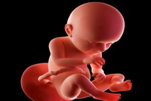 试管婴儿二胎的成功率怎样?三大策略助你提高怀孕的可能性