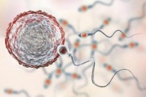 想通过试管婴儿技术来生第二个孩子吗?