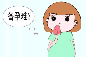 试管婴儿二胎:详细流程与重要注意事项