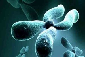 试管婴儿技术:从“一代”到“三代”,您想了解的内容都在这里